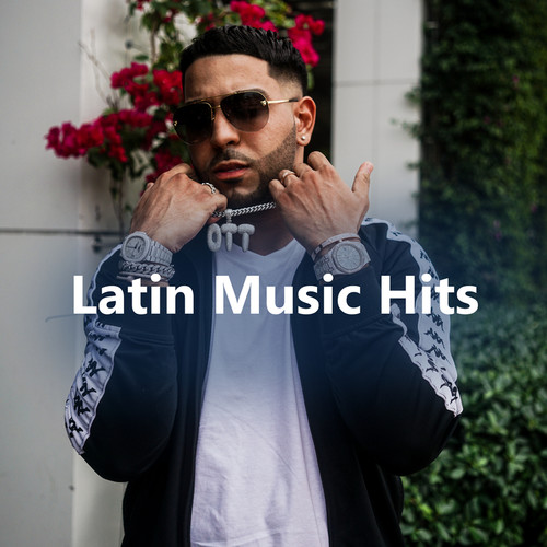 Latin Music Hits (Explicit)