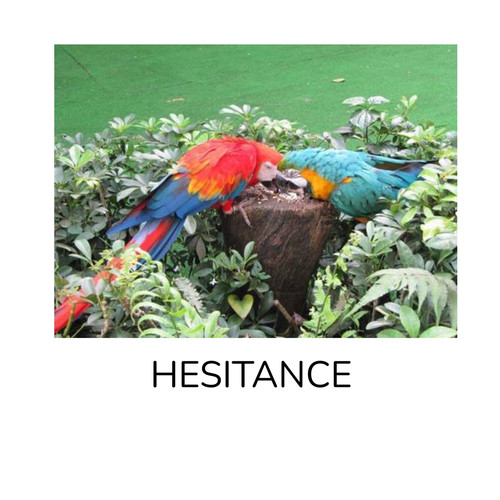 Hesitance