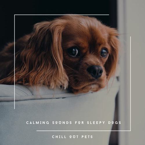 Calming Sounds For Sleepy Dogs - Chill Out Pets