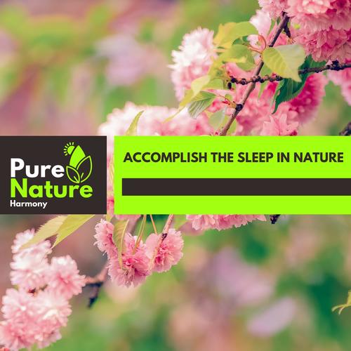 Accomplish The Sleep in Nature