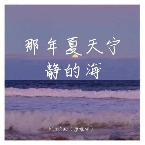 那年夏天宁静的海