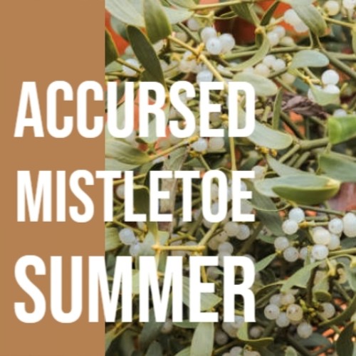 Accursed Mistletoe Summer (Explicit)