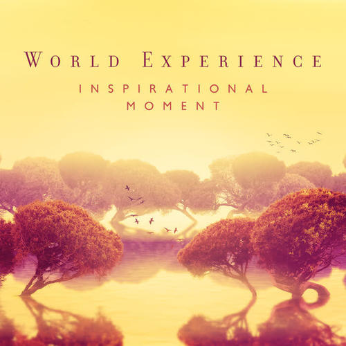 World Experience - Inspirational Moment