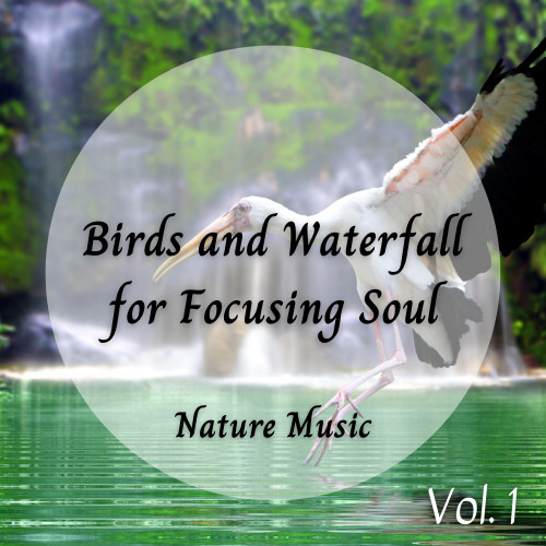 Meditation Music: Birds and Waterfall for Focusing Soul Vol. 1