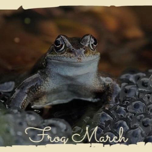 Frog March