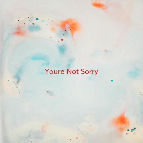 You're Not Sorry (Karaoke)