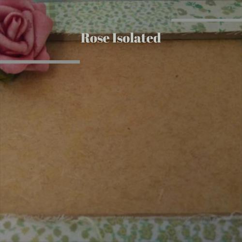 Rose Isolated