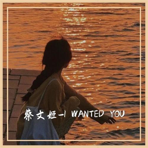 I WANTED YOU