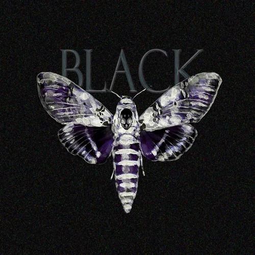 BLACK (Explicit)