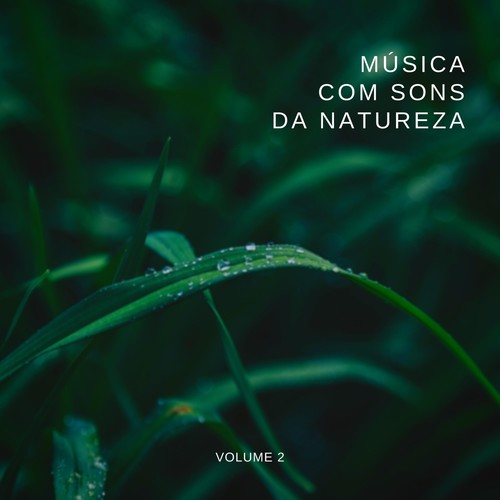 Música Com Sons da Natureza, Vol. 2