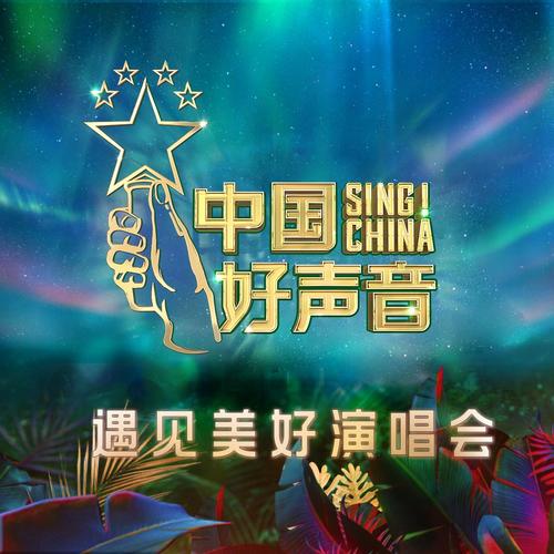 2020遇见美好 中国好声音演唱会