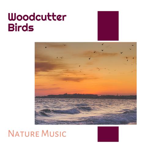 Woodcutter Birds - Nature Music