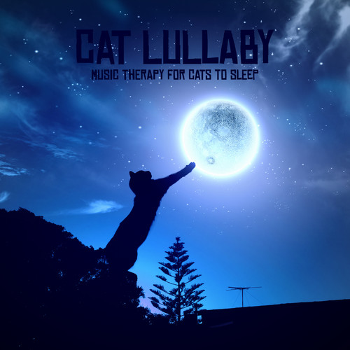 Cat Lullaby - Music Therapy for Cats to Sleep, Healing Music with Nature Sounds