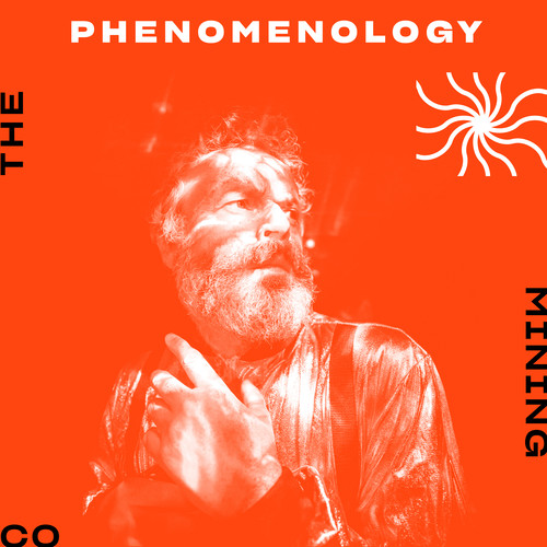 Phenomenology