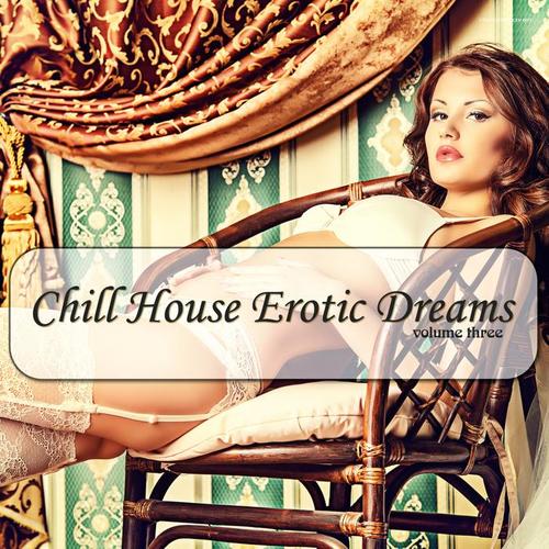 Chill House Erotic Dreams, Vol. 3