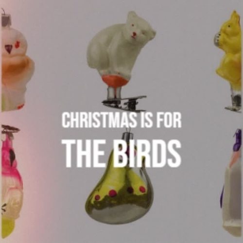 Christmas Is For the Birds