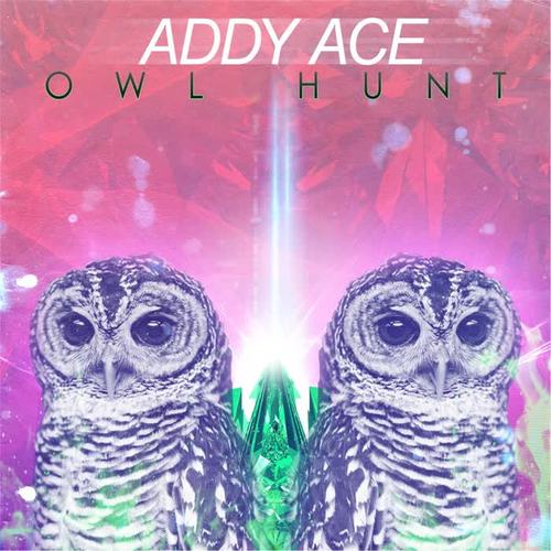 Owl Hunt