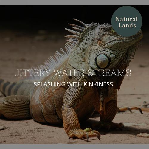 Jittery Water Streams - Splashing with Kinkiness