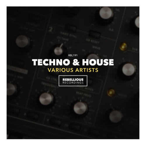 Techno & House