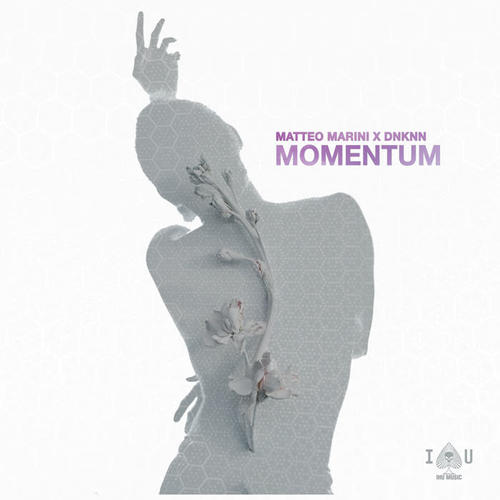 Momentum