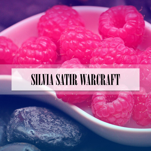 SILVIA SATIR WARCRAFT