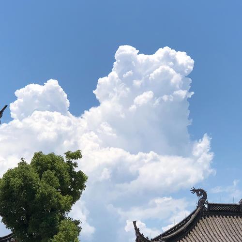 金庭仙韵｜救苦朝科