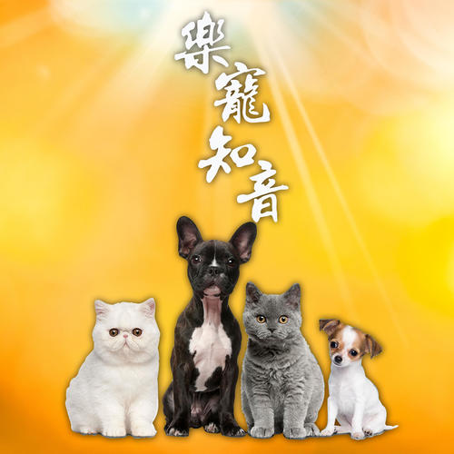 乐宠知音 (宠物佛乐)