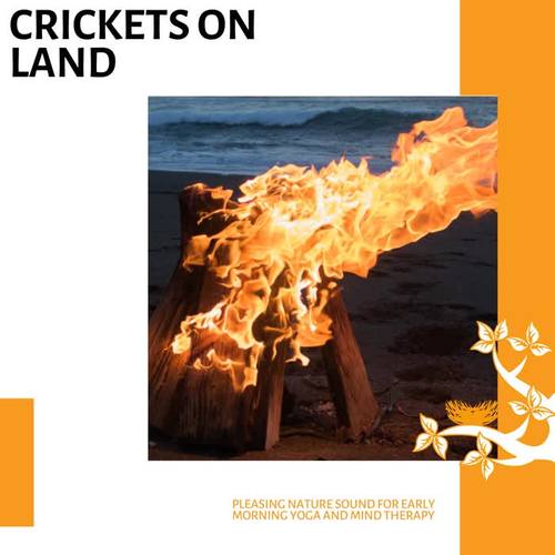 Crickets On land - Pleasing Nature Sound for Early Morning Yoga and Mind Therapy