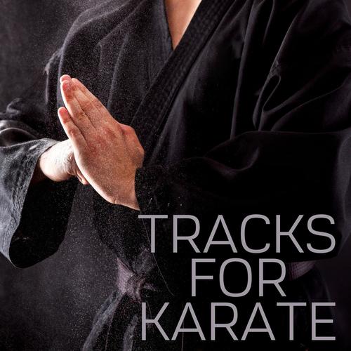 Tracks for Karate