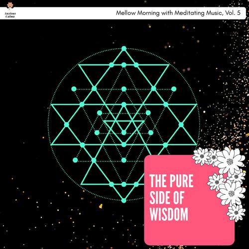 The Pure Side Of Wisdom - Mellow Morning With Meditating Music, Vol. 5