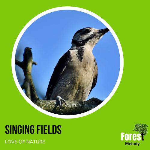 Singing Fields - Love of Nature