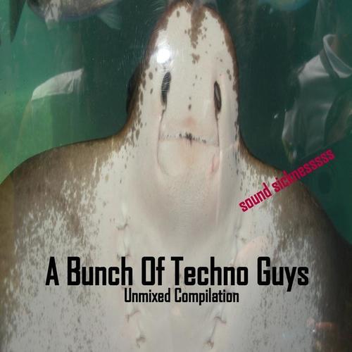 A Bunch of Techno Guys: Unmixed Compilation (Sound Sicknesssss)