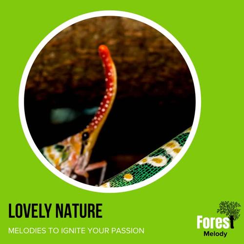 Lovely Nature - Melodies to Ignite Your Passion