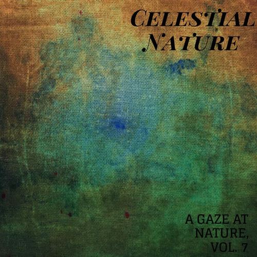 Celestial Nature - A Gaze at Nature, Vol. 7