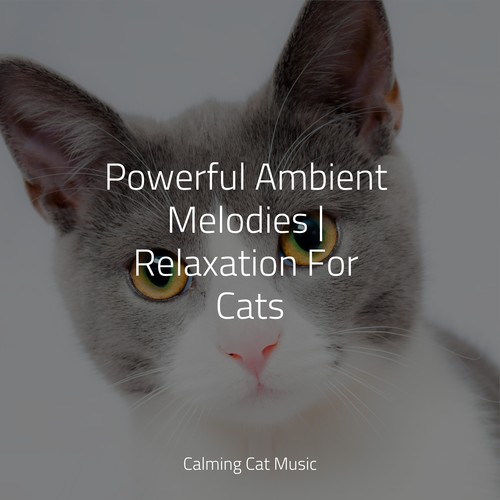 Powerful Ambient Melodies | Relaxation For Cats