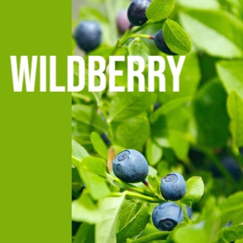 Wildberry