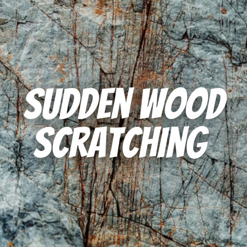 Sudden Wood Scratching