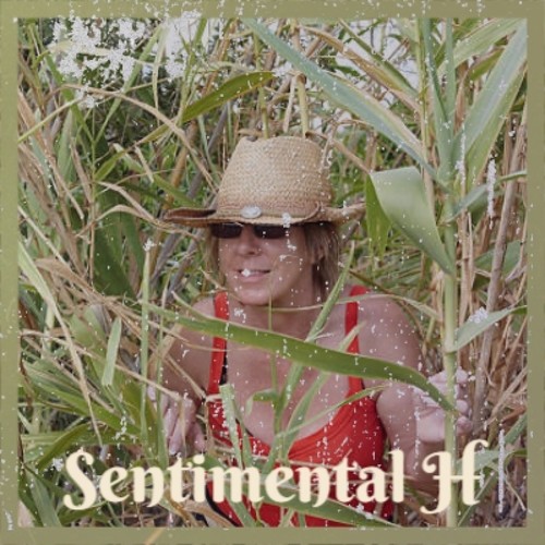 Sentimental H