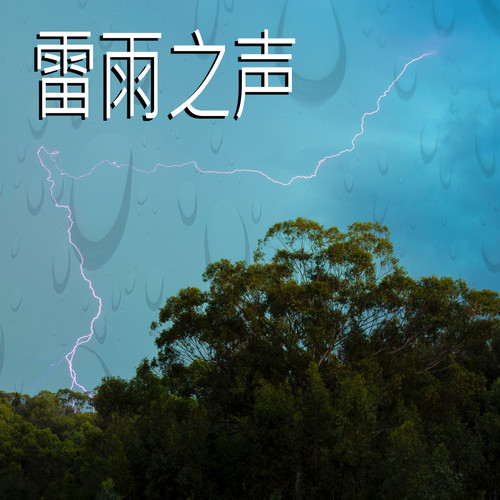 雷雨之声