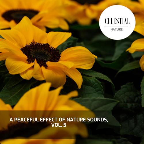 A Peaceful Effect of Nature Sounds, Vol. 5