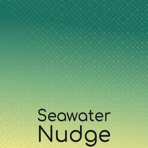 Seawater Nudge