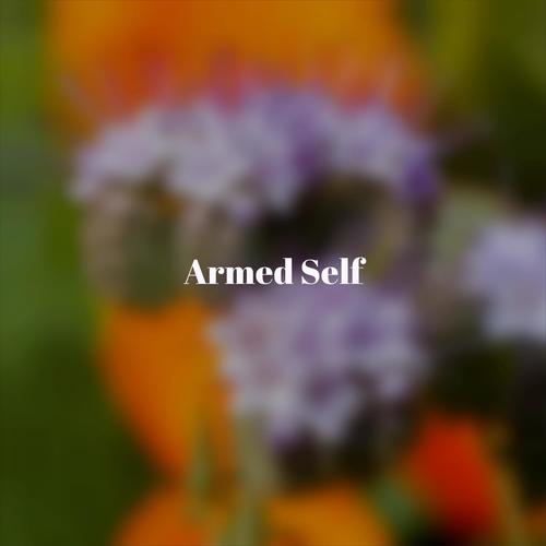 Armed Self