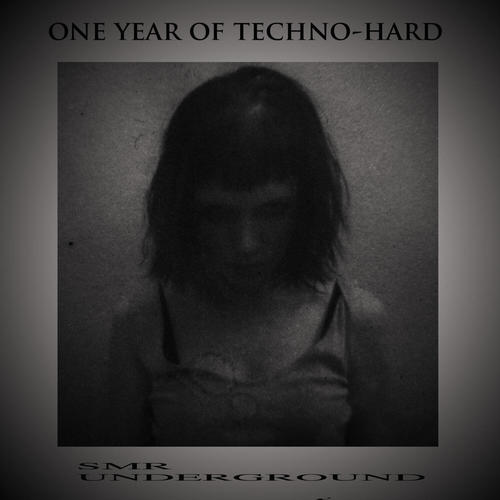 One Year OF Techno-Hard