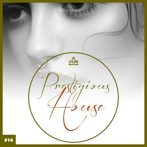 Prestigious House, Vol. 14