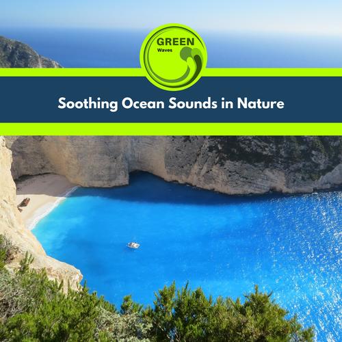 Soothing Ocean Sounds in Nature