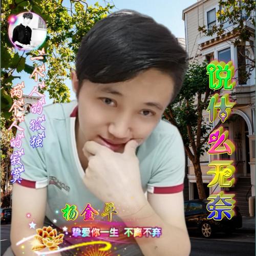 说什么无奈(翻唱)