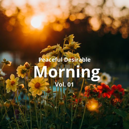 Peaceful Desirable Morning, Vol. 01