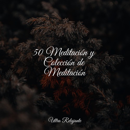 50 Meditación y Colección de Meditación