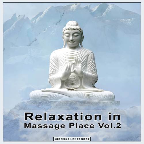 Relaxation in Massage Place, Vol. 2