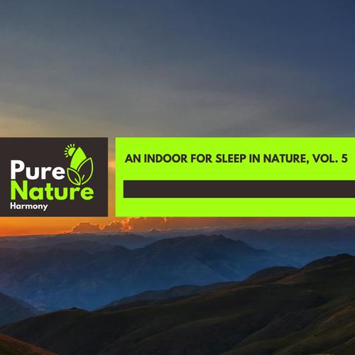 An Indoor For Sleep in Nature, Vol. 5